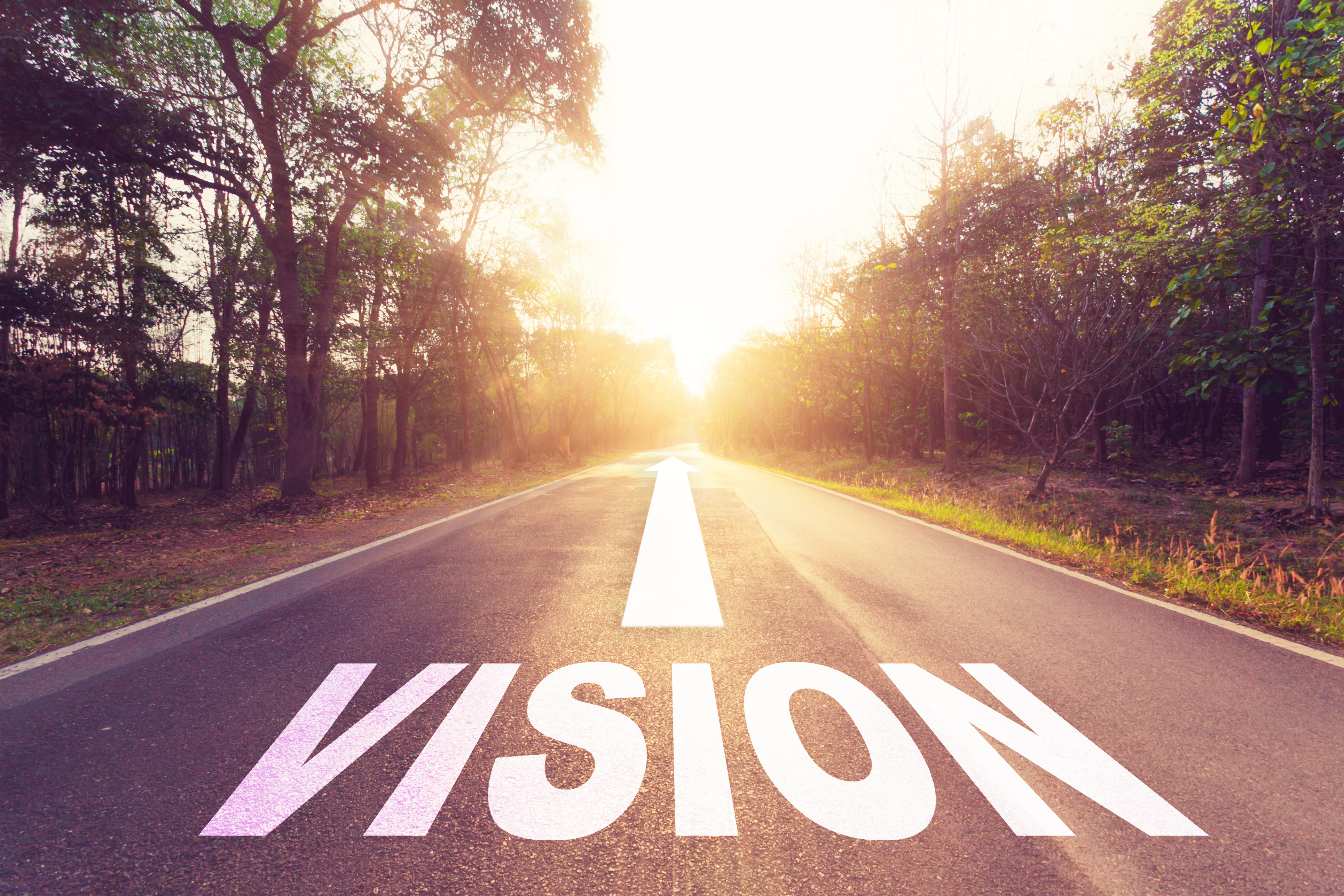 Our Vision